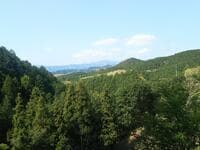 週末・駅から低山ハイキングに最適！  都心からアクセス良好＆関東一望の絶景スポット「日和田山」 ピストンでも、物見山周回でもOK！