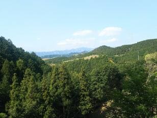 週末・駅から低山ハイキングに最適！  都心からアクセス良好＆関東一望の絶景スポット「日和田山」 ピストンでも、物見山周回でもOK！