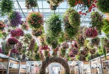 風速とスリルの絶景スポット「三島スカイウォーク」で涼を感じる