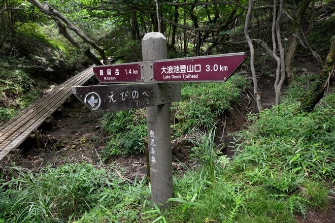 霧島の春はハイライト！  ピンクの絨毯“ミヤマキリシマ”を纏った「韓国岳＆高千穂峰」5月中旬～6月中旬が見頃！【鹿児島県霧島市・宮崎県えびの市】の画像006