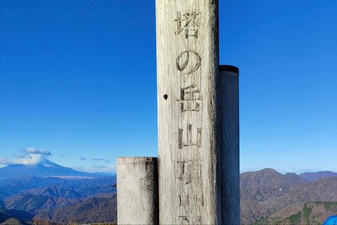 表丹沢の人気 “体力派” コース「塔ノ岳」 広がる大展望が見どころ「富士山＆相模湾」の絶景～大倉登山口から山頂往復～日帰り登山レポの画像003