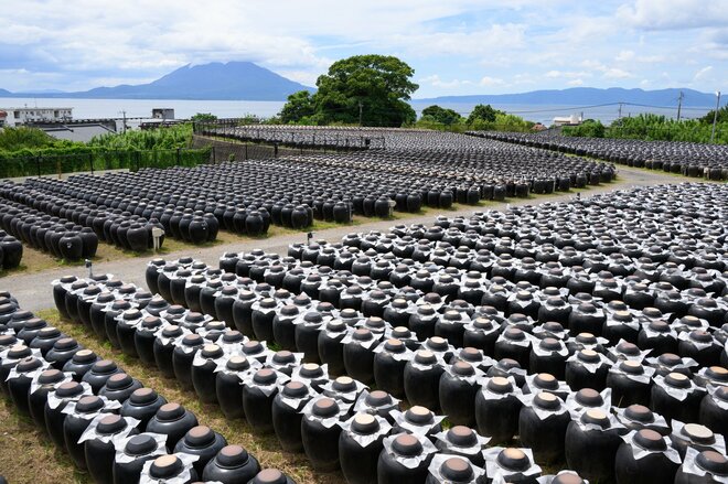 【鹿児島県 霧島市】気分爽快「E-bike」ならではの霧島の旅！  鹿児島空港からはじめる “名所めぐり”「鹿兒島神宮～錦江湾」までの画像022