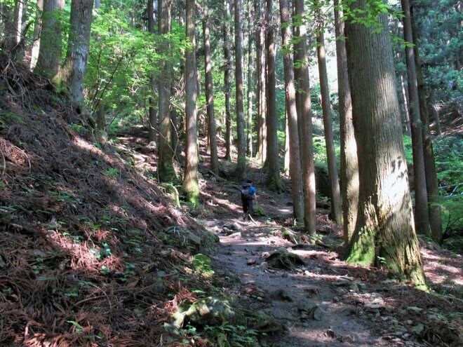 秩父盆地のシンボル「武甲山」ダイナマイトの発破音が鳴り響く“日本武尊”を祀る伝説の山の画像002