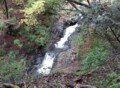 美しい紅葉と清流のマイナスイオンに包まれる！  秋の癒しハイキング「鷹ノ巣山」 急登の先に待つ山頂エリアは絶景！  登山レポ【東京都西多摩郡奥多摩町】の画像002