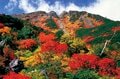 【富士山の次に登る山 vol.1】登山の魅力はムゲン大「パワーを感じる霊山」 秋田駒ヶ岳・白山・御嶽山・大山の画像010