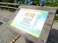 梅雨空より青い！？ 山の斜面を染め上げる「アジサイ」の絶景！ 圧巻3万本「大川原高原」の大パノラマ「あじさい祭り」現地レポ【徳島県名東郡】の画像008