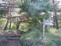 【この秋、絶対！ 八ヶ岳】第4回「八ヶ岳縦走」 主要の峰を踏破する南北を横断するロングルートの画像008