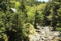 「本当は教えたくない」気持ち良すぎる登山道！  日本百名山「八経ヶ岳」 ロング＆なだらか “トレイル風” テント泊コースの画像004