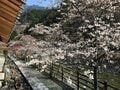 「渓谷」と「露天風呂」がポイント！  四国在住ライターが教える「登山帰りに立ち寄りたい」極上の温泉3選とは？の画像005