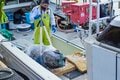 【落札価格は3億円超え？】一年でもっとも高価な魚をいち早く見物する「大間マグロキャンプ」レポート＜後編＞【絶景キャンプ場ガイド-言葉を失うほどの風景に会いに行こう- vol.27】の画像004