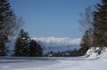 春スキーはやっぱり「ヤケビ」でしょ【焼額山スキー場・長野県 志賀高原】ハイシーズン並みの「グルーミングバーン」は秀逸の出来！の画像001