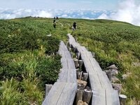 松尾芭蕉も訪れた山形「出羽三山」の日本百名山・月山！  高山植物や池塘を楽しむ神々しい「空中散歩」ハイキング