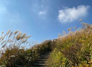 ハズせない「秋の絶景」登山！  黄金に揺れる山頂「ススキ」に「夏のおわり」を想う「大和葛城山」大阪・奈良「登頂レポ」