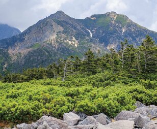 【この秋、絶対！ 八ヶ岳】第3回「権現岳」 高度感溢れる稜線、厳つい男性的な山
