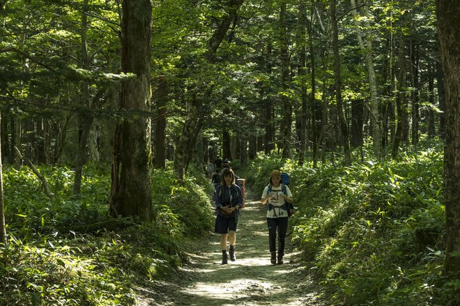 槍ヶ岳はすでに秋本番！「槍沢ルート」の状況と“咲き誇る秋の花“【北アルプスニュース】の画像002