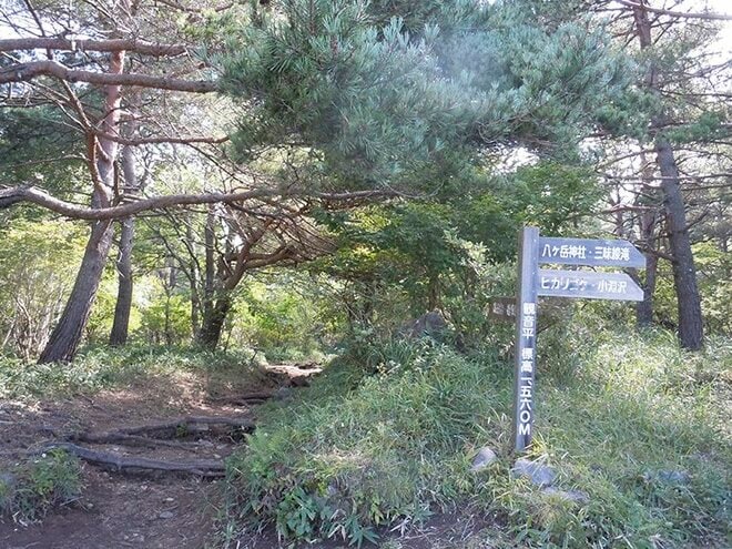 【この秋、絶対！ 八ヶ岳】第4回「八ヶ岳縦走」 主要の峰を踏破する南北を横断するロングルートの画像008