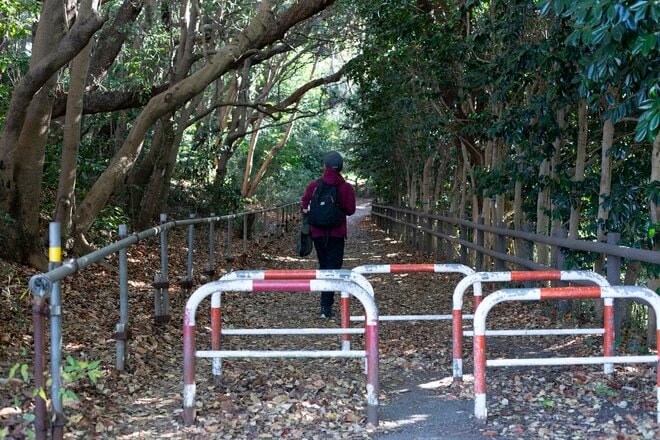 都市部で2時間「駅からハイキング」横浜市金沢区「大丸山」レポ！思わず嬉しくなる“街チカ”とは思えない、豊かな自然＆展望！の画像003