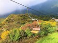今週末の紅葉見るならどこ？  名所＆人気スポットから最新情報をお届け「WEEKLY紅葉ニュース」【2023年10月第2週】の画像005