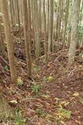 【NHK大河『豊臣兄弟！』ゆかりの城】実にしつこい… 光秀が築いた「丹波 二大山城」のひとつ「丹波国・周山城〈前編〉」（京都府京都市）【戦国の山城を攻める vol.09】の画像006