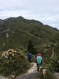 歩きごたえ＆幻想的な景観は「縄文杉」に並ぶ魅力！  九州最高峰「宮之浦岳」 大岩壁の山頂「モッチョム岳」 一度は登りたい「屋久島の山」レポの画像005