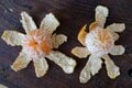 【ミカンの名産地で聞きました】キレイに皮がむける「和歌山むき」とはの画像001