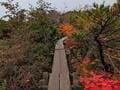 紅葉の百名山「那須岳」で1泊2日ハイキング「茶臼岳＆姥ヶ平」の絶景、900年の歴史を持つ秘湯「三斗小屋温泉」では「煙草屋旅館」に宿泊「レポート」の画像007