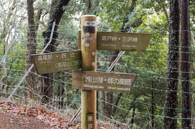 【大人気の高尾山ハイキング】混雑を回避する “静かな尾根道”「南高尾山稜」への画像005