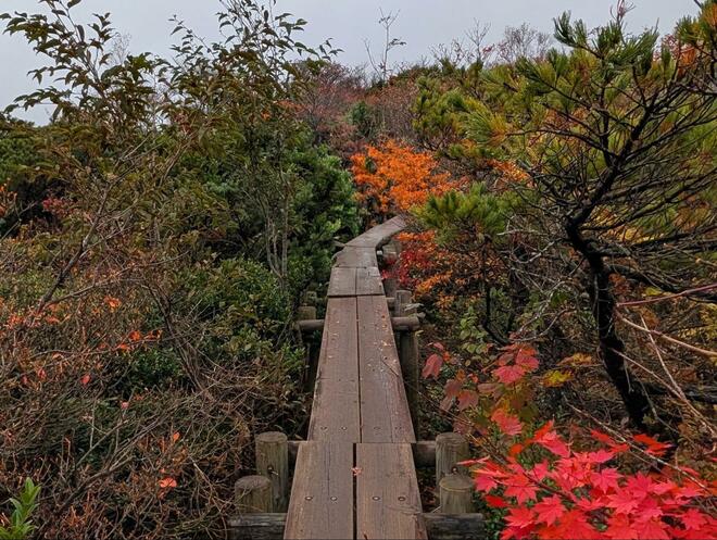 紅葉の百名山「那須岳」で1泊2日ハイキング「茶臼岳＆姥ヶ平」の絶景、900年の歴史を持つ秘湯「三斗小屋温泉」では「煙草屋旅館」に宿泊「レポート」の画像007