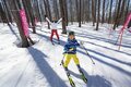 息をのむ絶景「石打丸山スキー場」、本州唯一の犬ぞり体験「水上高原スキーリゾート」【この冬行くべき、体験すべき！ スノーリゾート特集 vol.1】の画像010