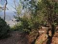 ゴールデンウィークには「ツツジ」が彩る、丹波「向山連山」 ユニーク岩たどる低山縦走＆「黒井城跡」見下す絶景レポート【兵庫県丹波市】の画像018