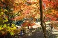 一度は行きたい！  紅葉シーズンの「高尾山」見ごろ＆混雑ピーク「11月攻略」には「早朝ハイキング」が最適！  絶景満喫レポの画像005