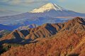 この秋に行きたい！ 至極の紅葉登山【最終回】今が見ごろ、まだ間に合う関東近郊の「浅間山・丹沢山・大菩薩嶺」の画像001