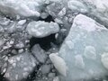 流氷の中を突き進むクルーズは大迫力！  北海道・紋別港の流氷観光船「ガリンコ号」に乗ってみた！の画像005