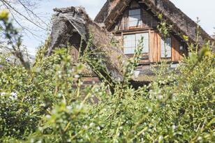 キャンプでの「前泊」で訪ねる世界遺産の地！「白川郷」 車20分「さくら街道白川郷 ひらせ温泉キャンプサイト」 郷土メシ＆早め“ずらし観光”レポ