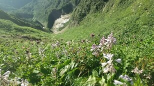 「高山植物の楽園」日本百名山「雨飾山」往復7時間かけて見た絶景「女神の顔」とは？