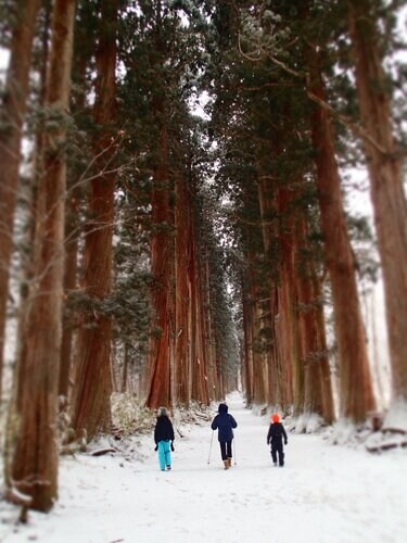 ファミリーで雪上歩きを楽しめる 旅行プラスaで行ける冒険気分 お手軽スノートレイル3選 22年冬 アクティビティ コラム Bravo Mountain