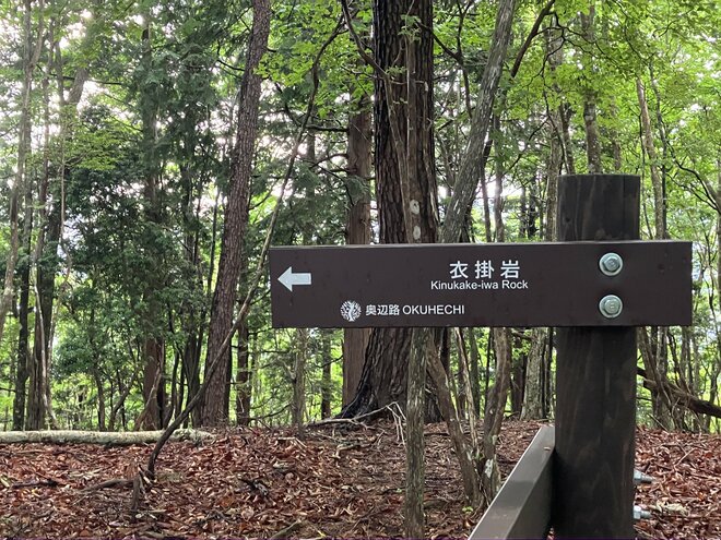 【地域おこしのカギとなれるか】世界遺産に登録されなかった “幻の熊野古道”「奥辺路」とは？【耕して、焙煎して、走る男　人口2,800人の村に移住してみました vol.12】の画像005