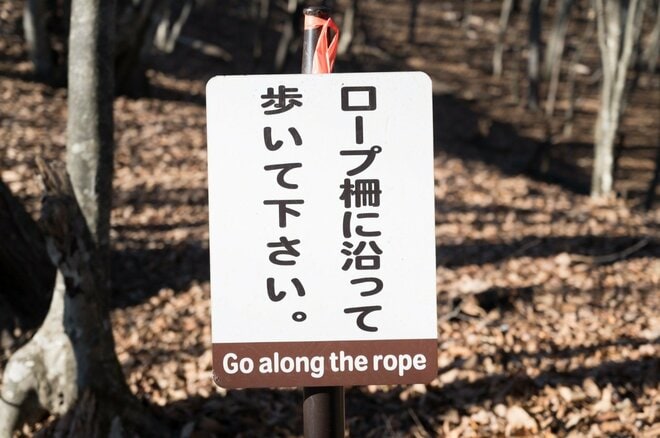 【首都圏近郊】冬にこそ歩くべき奥多摩三大急登「六ツ石山」の魅力の画像012