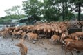 「首都圏から1泊2日の夏旅」モデルコース！  栃木県「那須・日光」での濃密体験とは？の画像002