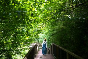 関東に残された唯一の奇跡の森！  三浦半島にある「小網代の森」って、どんなところ？  海まで続く約1.3km 散策レポート