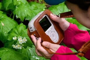 雨でも全然楽しい?!  栂池自然園の「MIKKETA！（ミッケタ）」は大人も十分楽しめる“自然体験プログラム”  自然園のお隣り！ 雲上の特等宿「栂池山荘」では自慢の“地の料理”を堪能！【中部山岳国立公園】