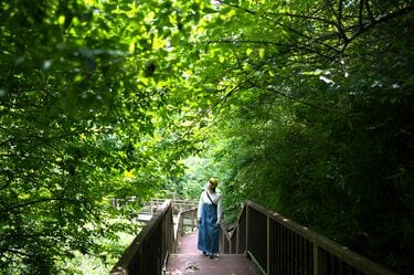 関東に残された唯一の奇跡の森！ 三浦半島にある「小網代の森