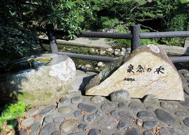 【世界自然遺産・屋久島】 屋久島をレンタカーで一周するドライブ旅「千尋の滝・大川の滝・ガジュマル・西部林道」を一日でめぐる！の画像014