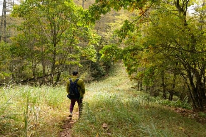 【1時間半で登れるのに見どころ満載】山梨の隠れ名低山「小楢山」紅葉の見頃はもうすぐ！ の画像007