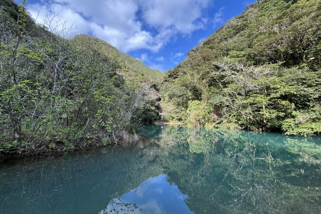 「海・山・森」丸ごと全部満喫できる！【観光復興キャンペーン実施中】行こう “復幸旅” アウトドアの楽園、八丈島へ｜2026年の画像006