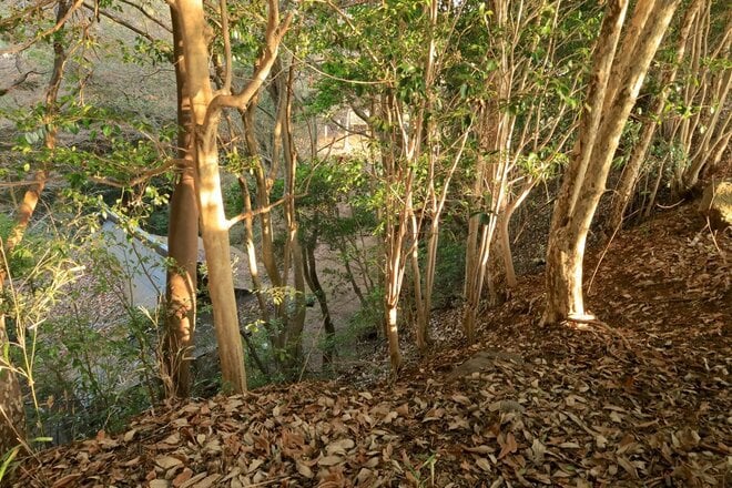 石の城と思いきや土の城だった！「安芸国・頭崎城〈後編〉」　最後に待ちうけていた驚異の “巨壁” に本気を見る（広島県東広島市）【戦国の山城を攻める vol.08】の画像006
