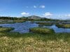 首都圏からアクセス良好「鳩待峠」から “天空の楽園” アヤメ平、尾瀬ヶ原を経て「至仏山」 周回ルートで尾瀬を1泊2日で満喫【群馬県片品村】