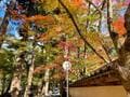 見頃は11月中旬予想！「知る人ぞ知る」穴場紅葉スポット・広島県「佛通寺」の極彩色風景の画像001