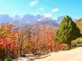 【速報】新雪と紅葉のコラボレーション！ 「絶景の白馬岩岳マウンテンリゾート・マウンテンハーバー」 爽快！ MTBで色づく森を走り抜けるの画像005