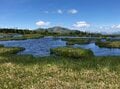 首都圏からアクセス良好「鳩待峠」から “天空の楽園” アヤメ平、尾瀬ヶ原を経て「至仏山」 周回ルートで尾瀬を1泊2日で満喫【群馬県片品村】の画像021